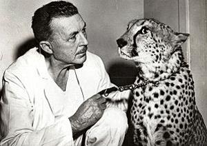 This photo shows Sellwood’s Dr. Nickelsen, who not only waited on patients at his medical office but was also known for his pet cat, Chewie the cheetah, who joined him in this picture. Chewie could be found hanging out in his fenced pen at 13th and S.E. Sherrett Street, and riding with the top down on the back seat of the doctor’s convertible.