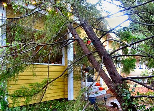 On December 27, 2022, an �atmospheric river� wind and rain storm not only gave us the heaviest rainfall of the year, a late morning ferocious wind gust blew this twin-trunk hemlock down onto a Westmoreland home. Trees, branches, and utility poles were falling all over Southeast at about the same time!