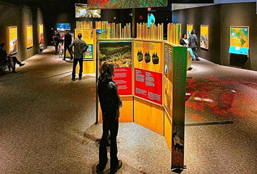 From the people who live there, to the animals, trees, and plants they are surrounded by  OMSI guests learn all about the importance of boreal forests, in the current exhibition at Southeasts premier science museum, and its free with OMSI admission.