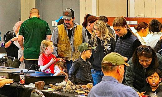 Families visiting the Annual Agate and Mineral Show in March at OMSI were attracted to the slab tables, where they could buy unfinished rocks from which they could create their own lapidary art.