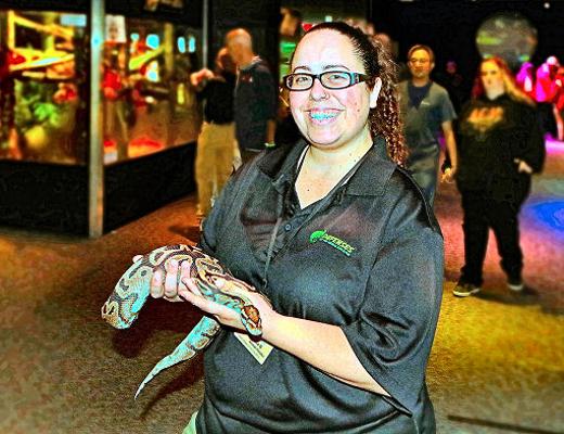 While showing visitors Snap, a 34-year-old ball python, OMSI Exhibit Lead Sara Marsano explained that this snake curls into a tight ball to protect its vulnerable head and neck.